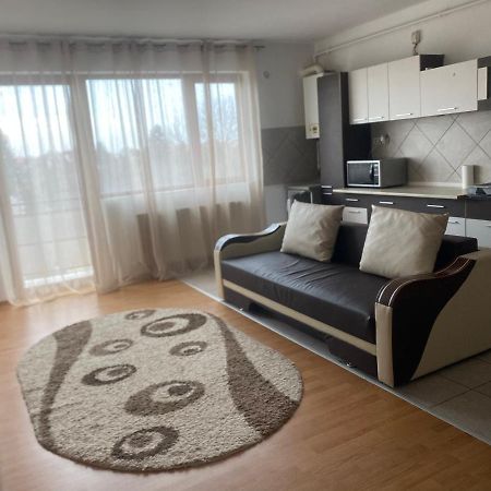 2Br Cosy Apart Satu Mare Exterior foto